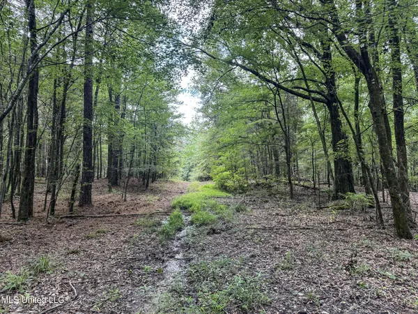 $688,880 | Pine Lodge Road Road, Batesville, MS 38606
