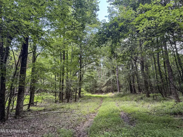 $688,880 | Pine Lodge Road Road, Batesville, MS 38606