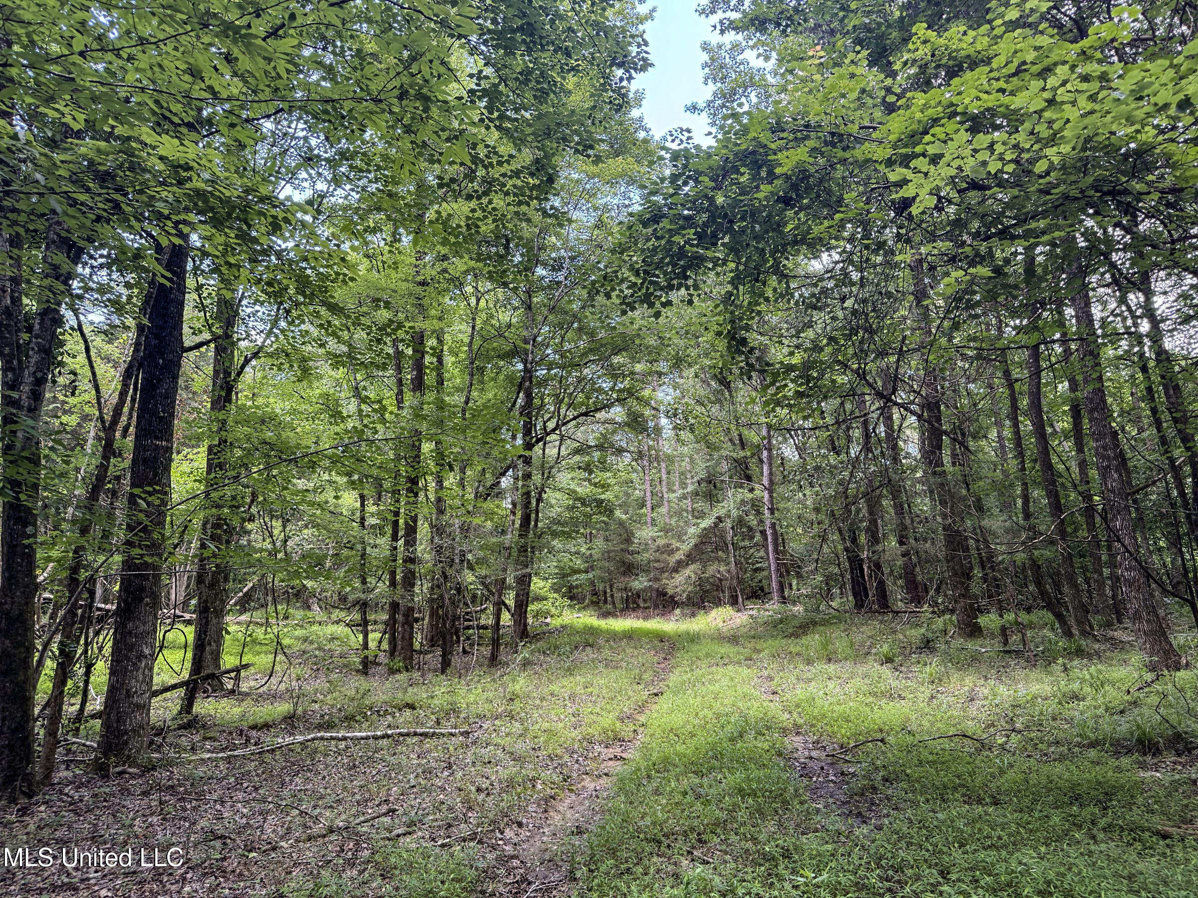 Pine Lodge Road Road Batesville, MS 38606 - Photo 49 of 99 4.1pleur52