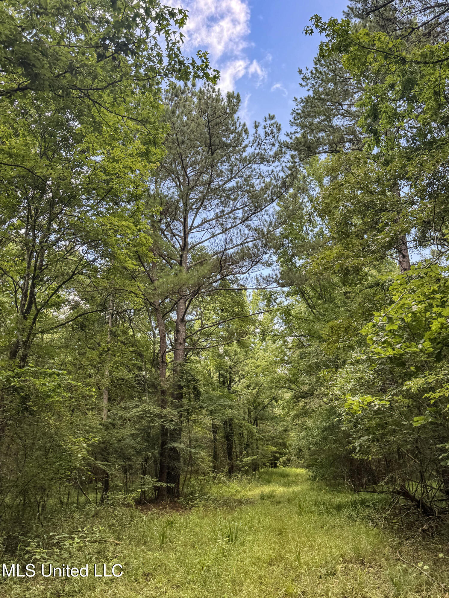 Pine Lodge Road Road Batesville, MS 38606 - Photo 50 of 99 4.1pleur55