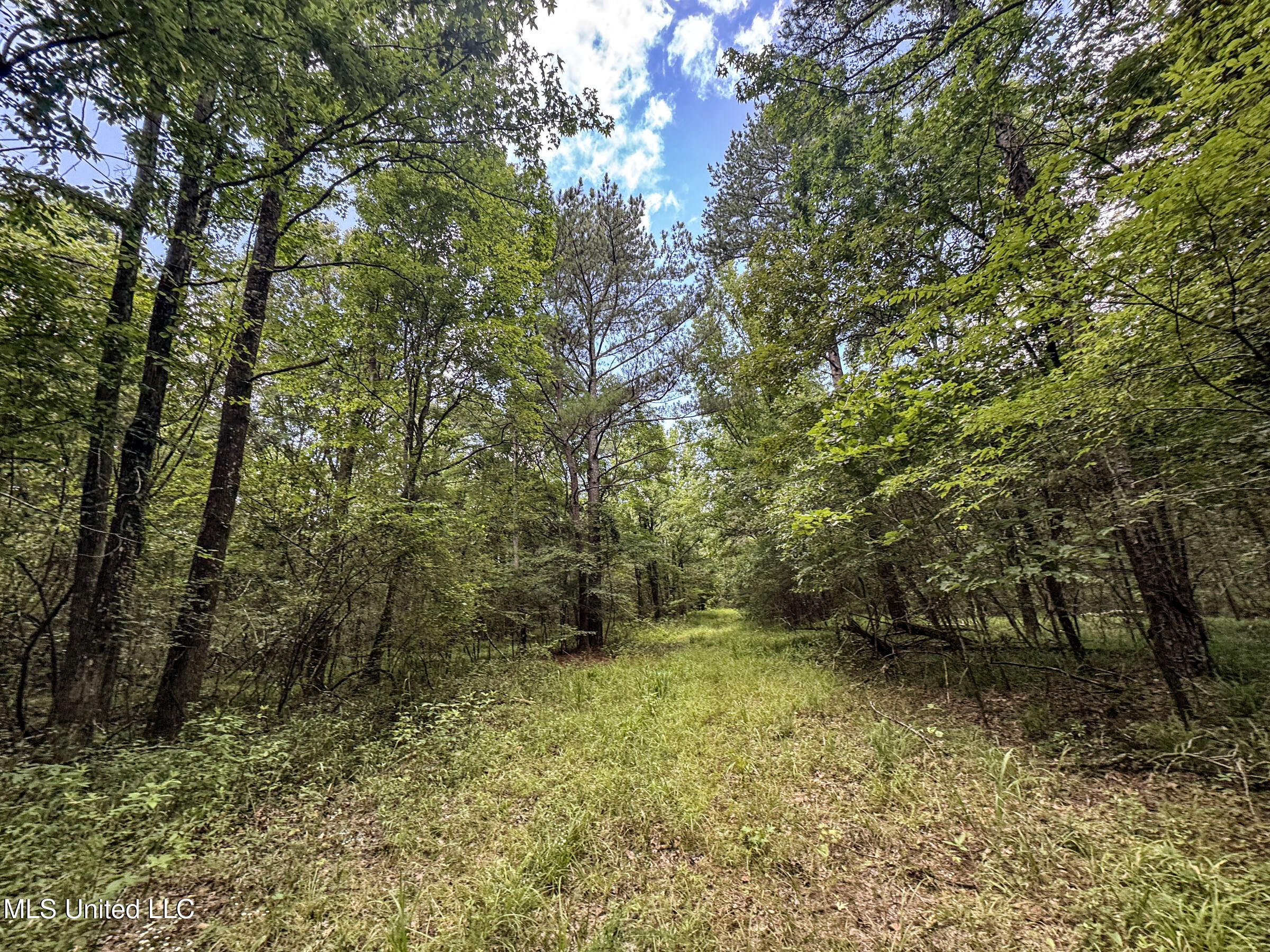 Pine Lodge Road Road Batesville, MS 38606 - Photo 51 of 99 4.1pleur56