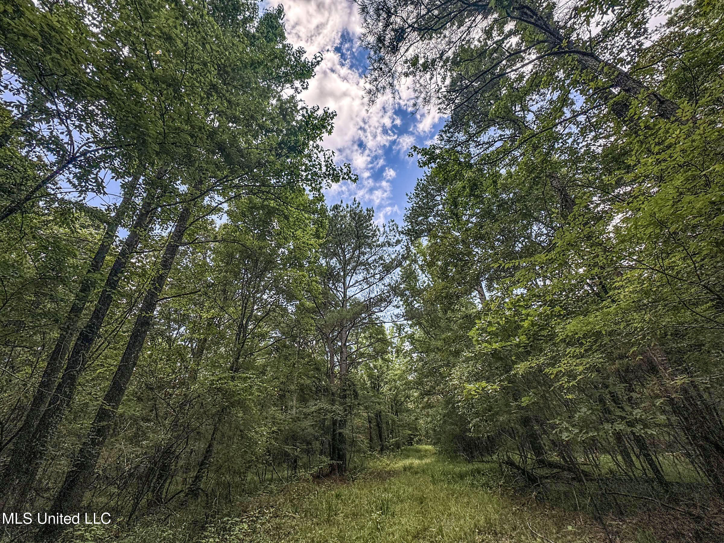 Pine Lodge Road Road Batesville, MS 38606 - Photo 52 of 99 4.1pleur57