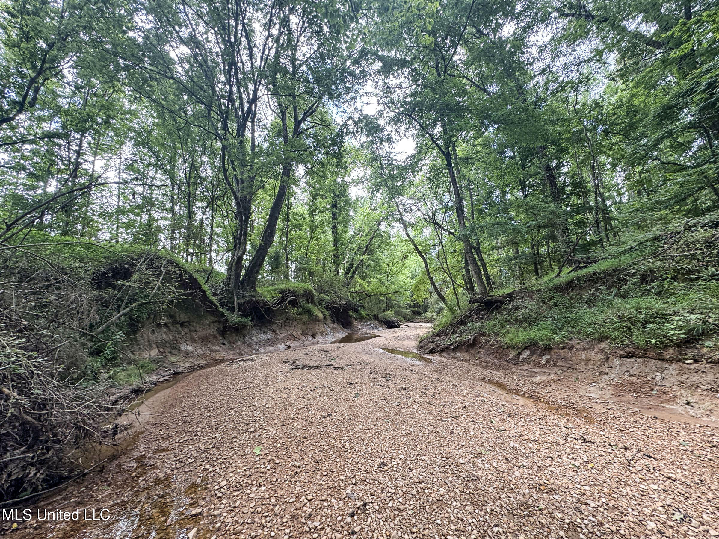 Pine Lodge Road Road Batesville, MS 38606 - Photo 53 of 99 4pleur2
