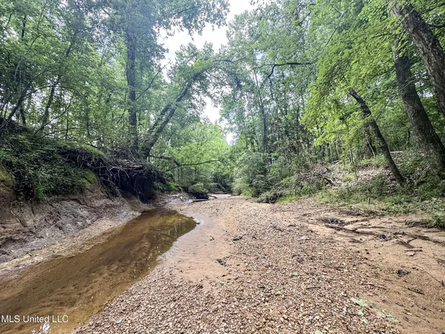 $688,880 | Pine Lodge Road Road, Batesville, MS 38606