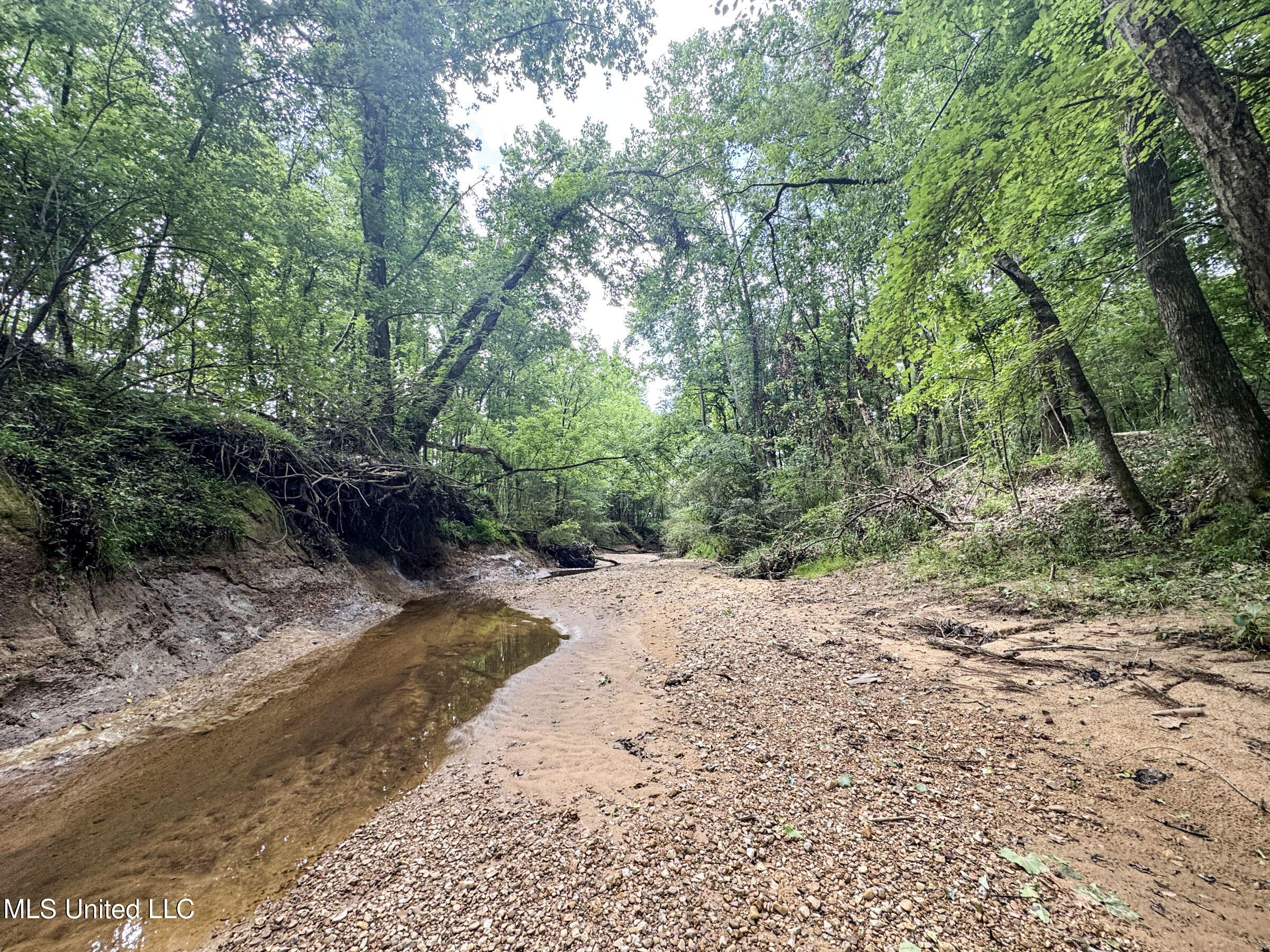 Pine Lodge Road Road Batesville, MS 38606 - Photo 54 of 99 4pleur4