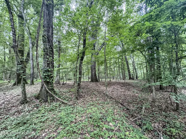 $688,880 | Pine Lodge Road Road, Batesville, MS 38606