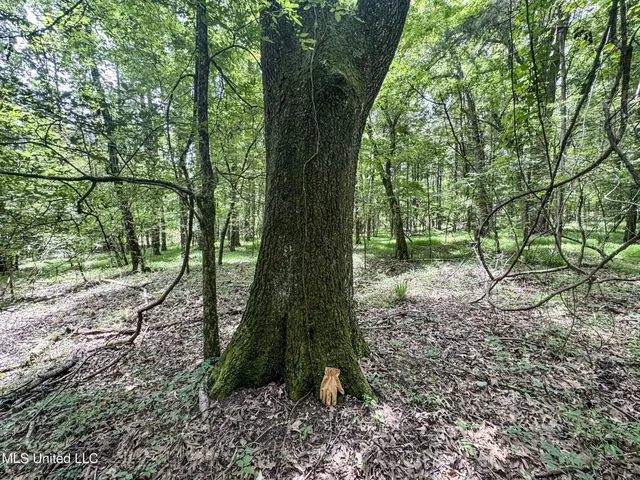 $688,880 | Pine Lodge Road Road, Batesville, MS 38606