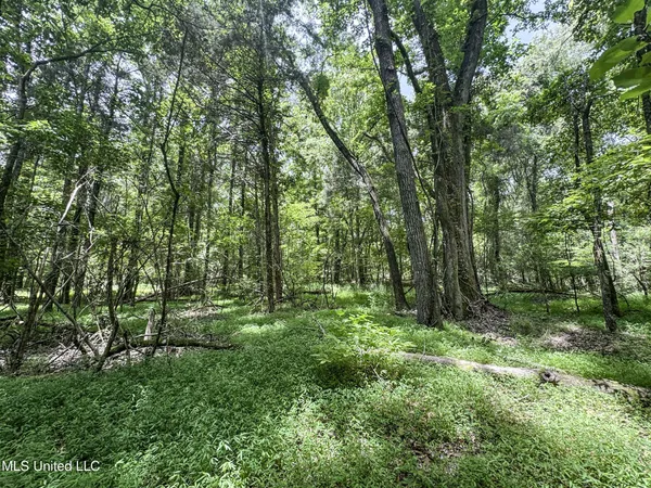 $688,880 | Pine Lodge Road Road, Batesville, MS 38606