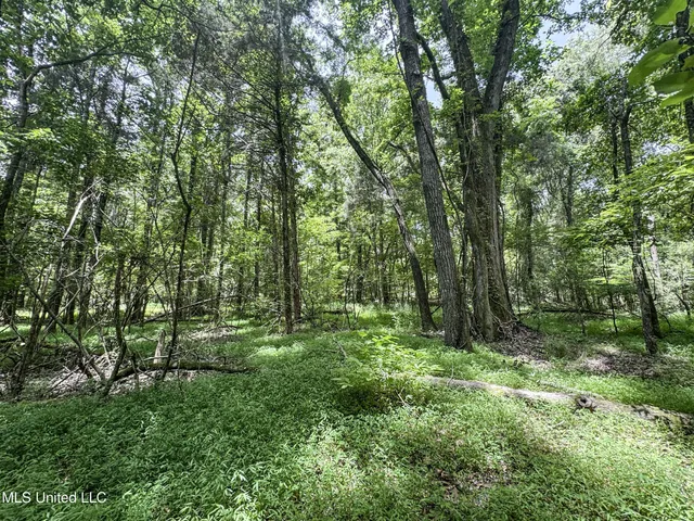 $688,880 | Pine Lodge Road Road, Batesville, MS 38606