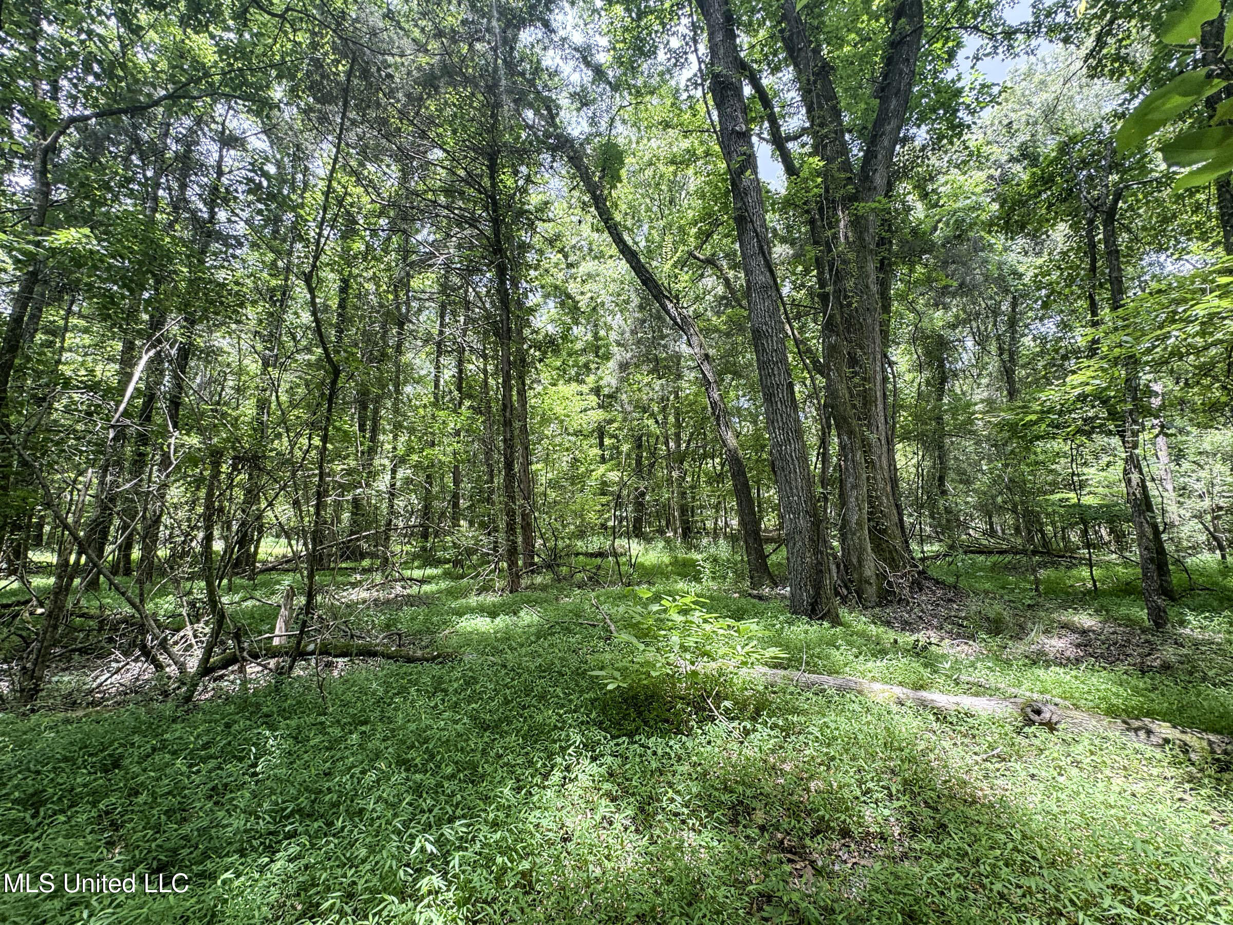 Pine Lodge Road Road Batesville, MS 38606 - Photo 57 of 99 4pleur7