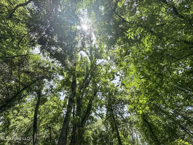 $688,880 | Pine Lodge Road Road, Batesville, MS 38606