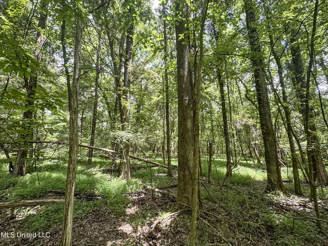 $688,880 | Pine Lodge Road Road, Batesville, MS 38606