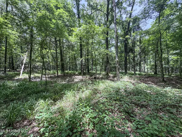 $688,880 | Pine Lodge Road Road, Batesville, MS 38606