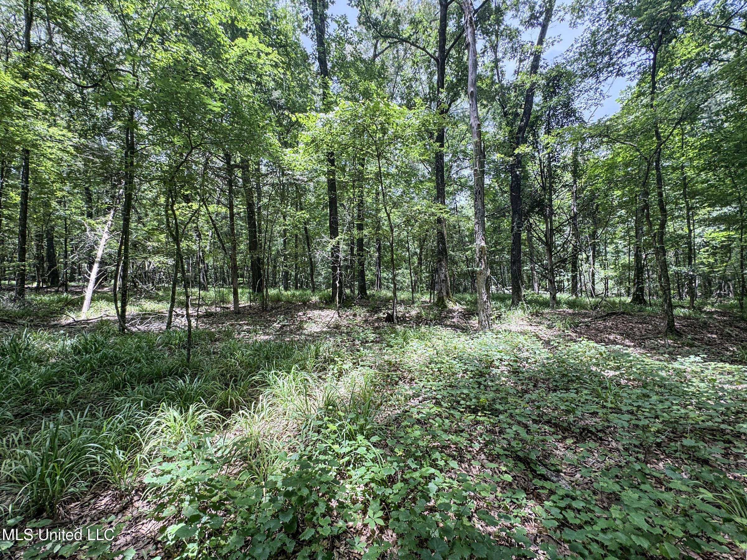 Pine Lodge Road Road Batesville, MS 38606 - Photo 60 of 99 4pleur10