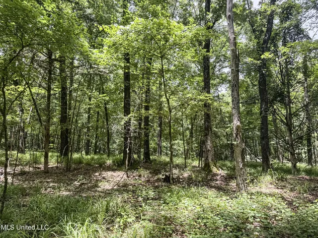 $688,880 | Pine Lodge Road Road, Batesville, MS 38606