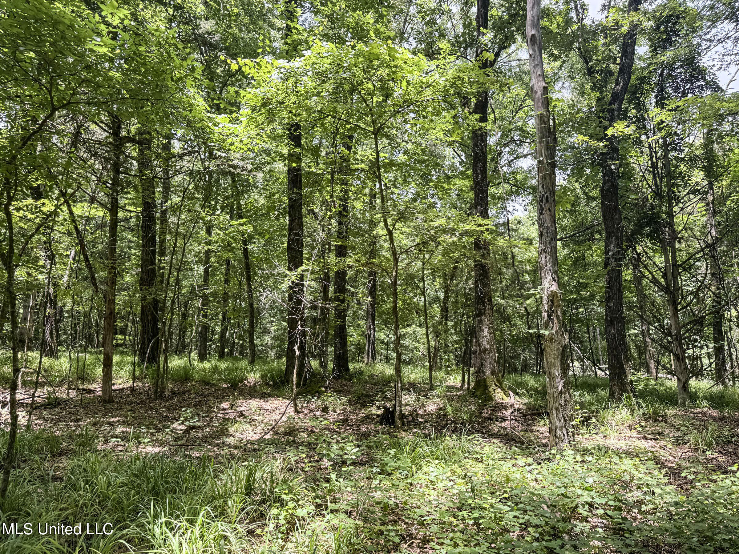 Pine Lodge Road Road Batesville, MS 38606 - Photo 61 of 99 4pleur11