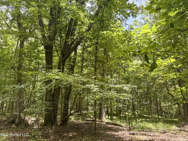 $688,880 | Pine Lodge Road Road, Batesville, MS 38606