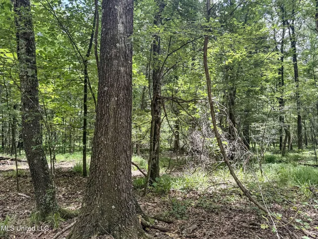$688,880 | Pine Lodge Road Road, Batesville, MS 38606