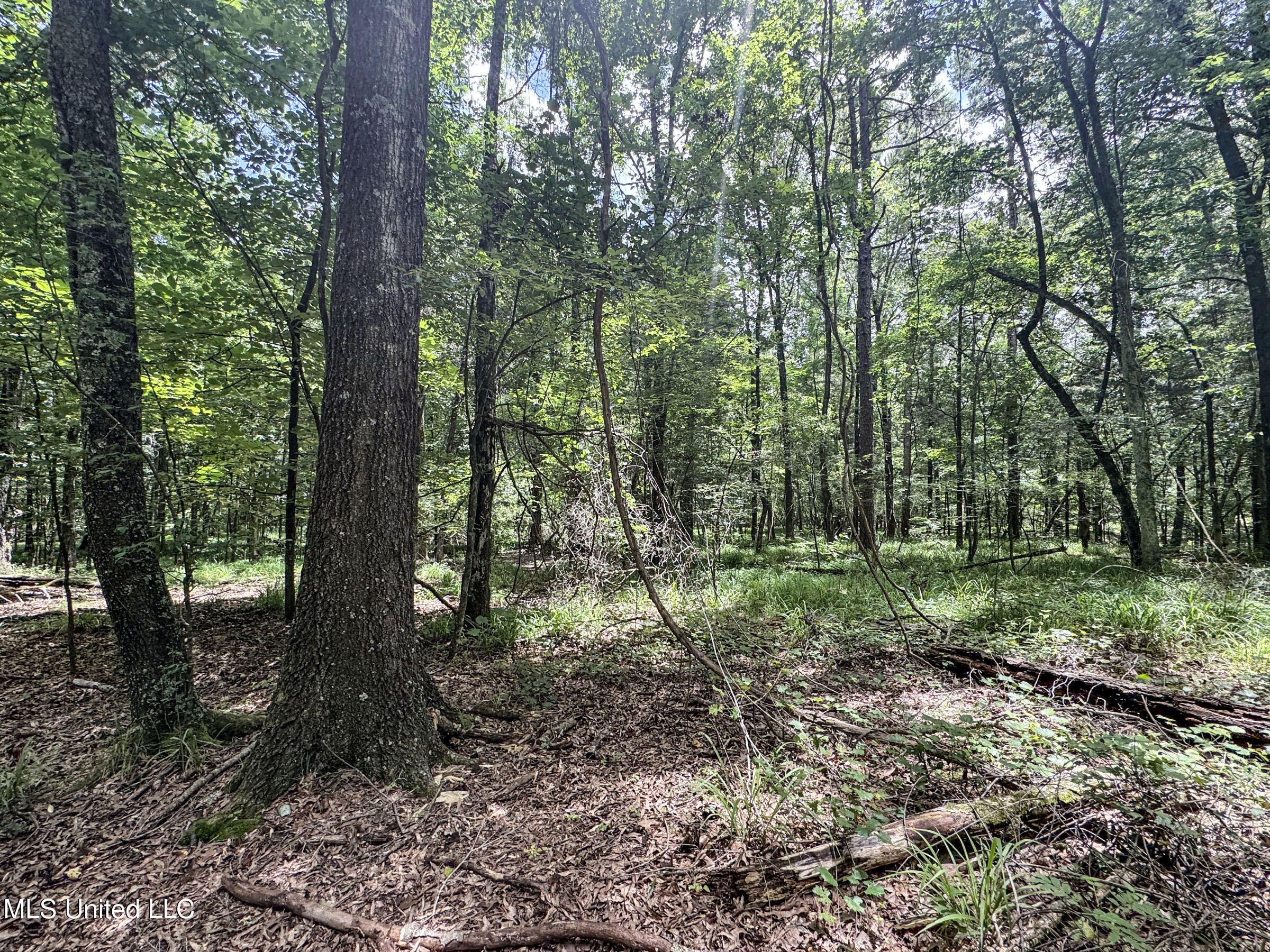 Pine Lodge Road Road Batesville, MS 38606 - Photo 64 of 99 4pleur14