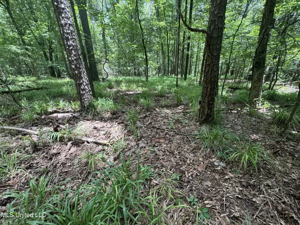 $688,880 | Pine Lodge Road Road, Batesville, MS 38606