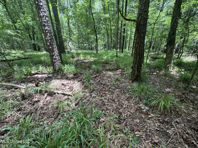 $688,880 | Pine Lodge Road Road, Batesville, MS 38606