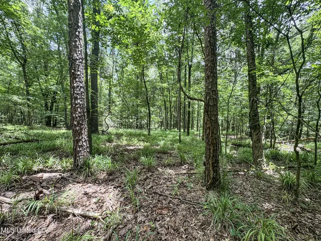 $688,880 | Pine Lodge Road Road, Batesville, MS 38606