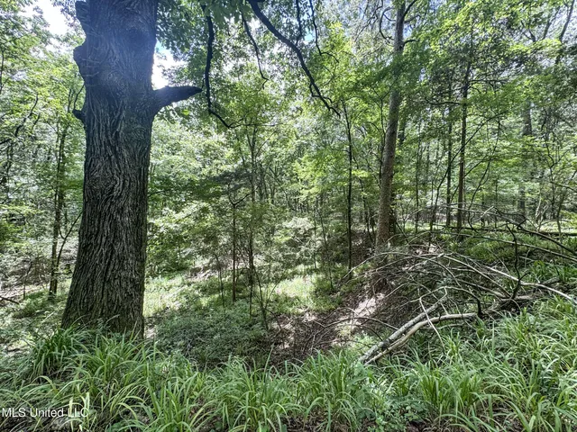 $688,880 | Pine Lodge Road Road, Batesville, MS 38606