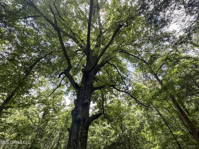 $688,880 | Pine Lodge Road Road, Batesville, MS 38606