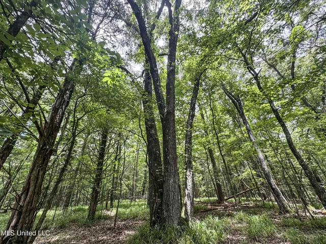 $688,880 | Pine Lodge Road Road, Batesville, MS 38606