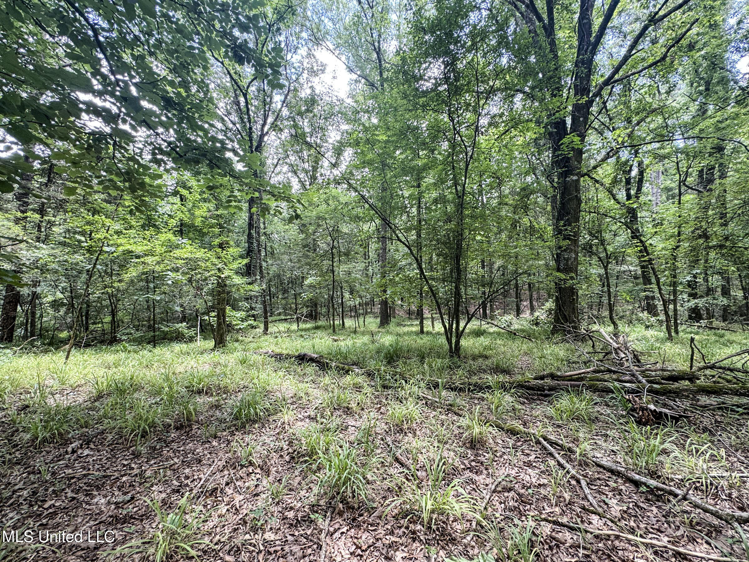 Pine Lodge Road Road Batesville, MS 38606 - Photo 70 of 99 4pleur20