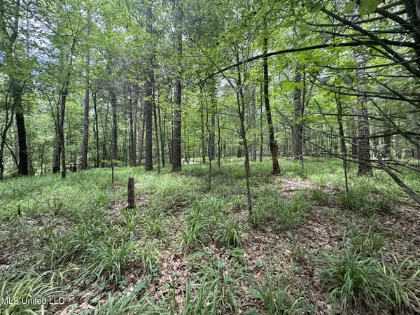 $688,880 | Pine Lodge Road Road, Batesville, MS 38606