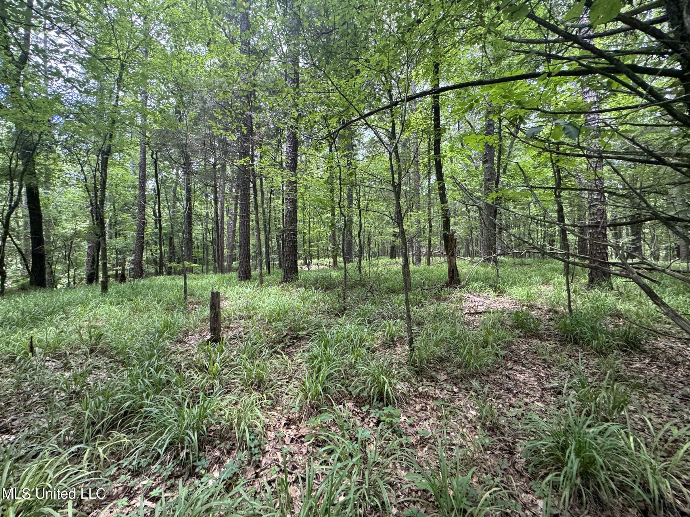 Pine Lodge Road Road Batesville, MS 38606 - Photo 71 of 99 4pleur21