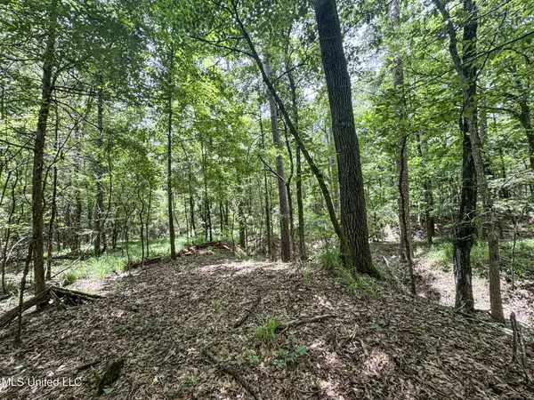 $688,880 | Pine Lodge Road Road, Batesville, MS 38606