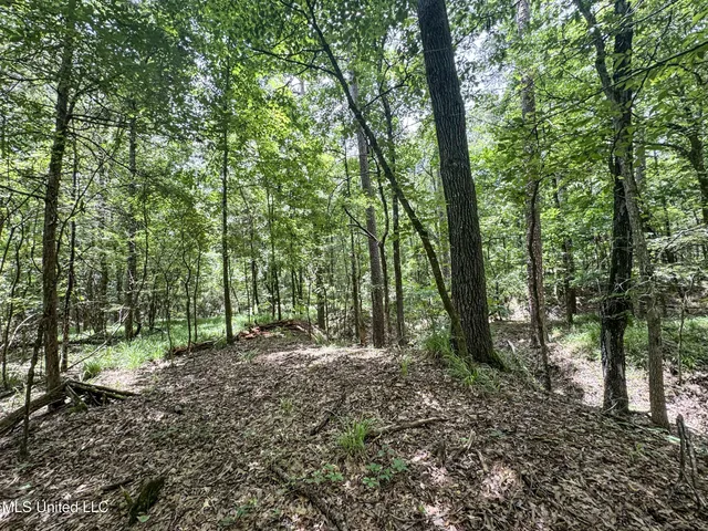 $688,880 | Pine Lodge Road Road, Batesville, MS 38606