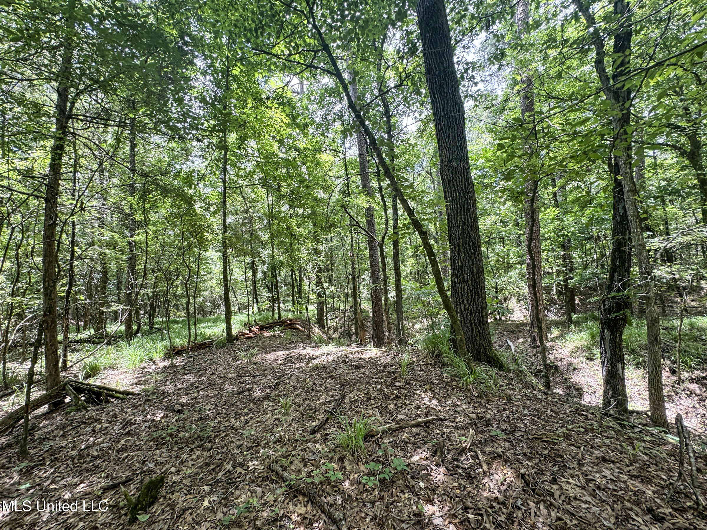 Pine Lodge Road Road Batesville, MS 38606 - Photo 73 of 99 4pleur23