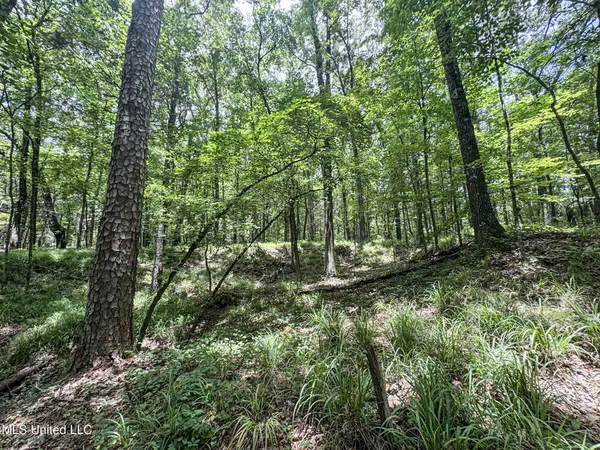 $688,880 | Pine Lodge Road Road, Batesville, MS 38606