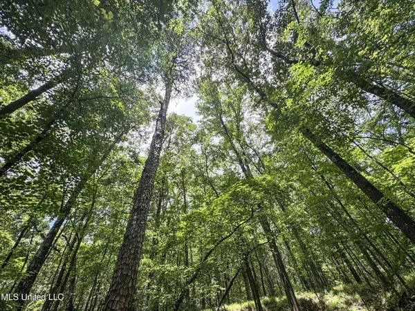 $688,880 | Pine Lodge Road Road, Batesville, MS 38606