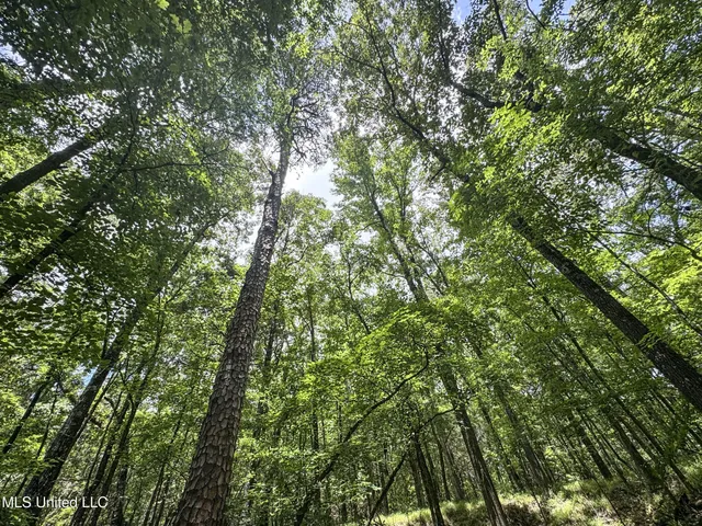$688,880 | Pine Lodge Road Road, Batesville, MS 38606