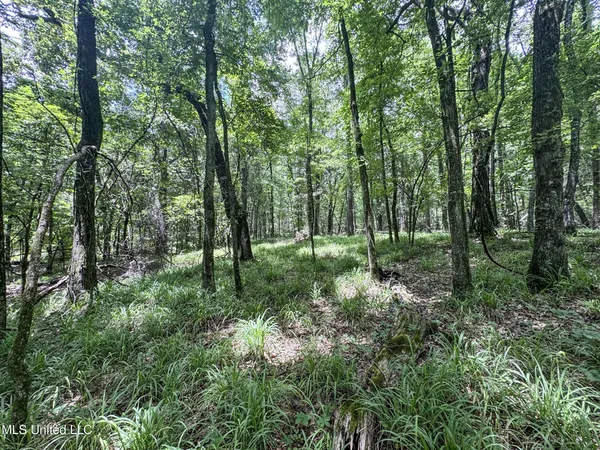 $688,880 | Pine Lodge Road Road, Batesville, MS 38606