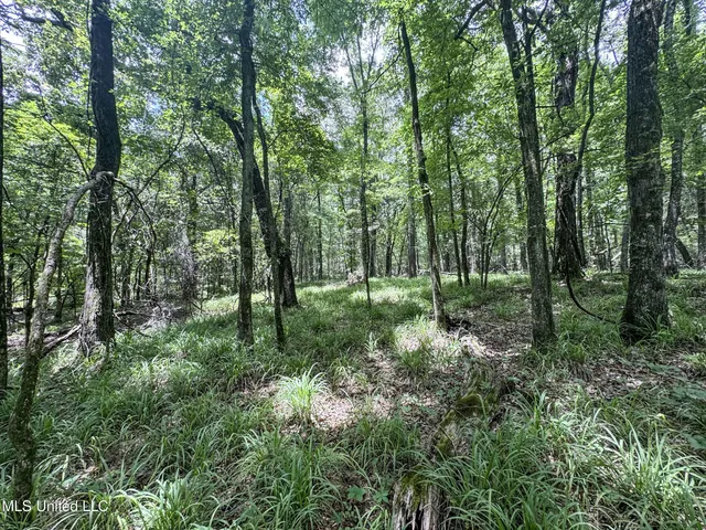 $688,880 | Pine Lodge Road Road, Batesville, MS 38606