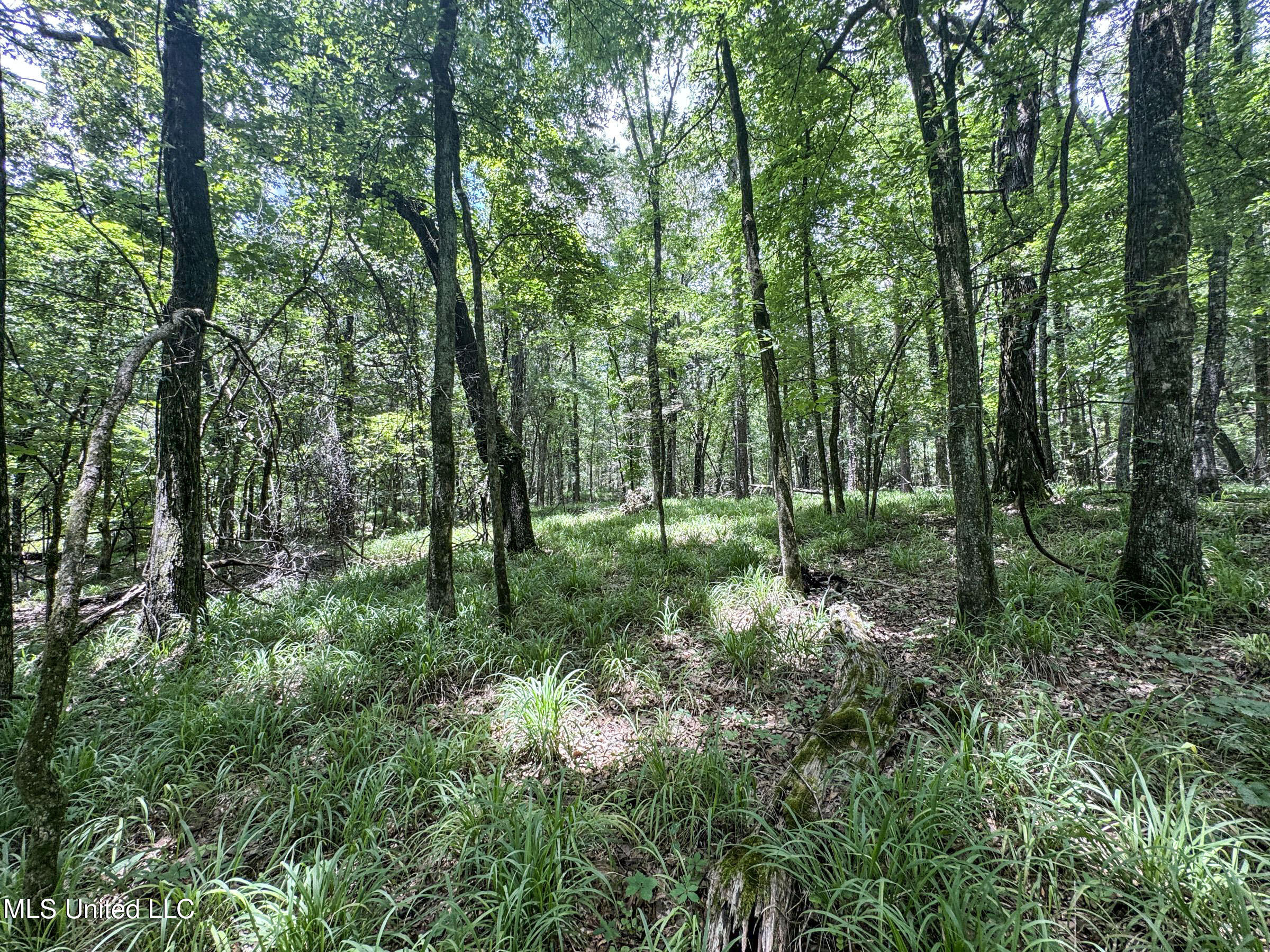 Pine Lodge Road Road Batesville, MS 38606 - Photo 77 of 99 4pleur27