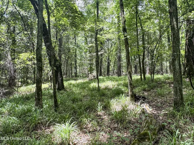 $688,880 | Pine Lodge Road Road, Batesville, MS 38606