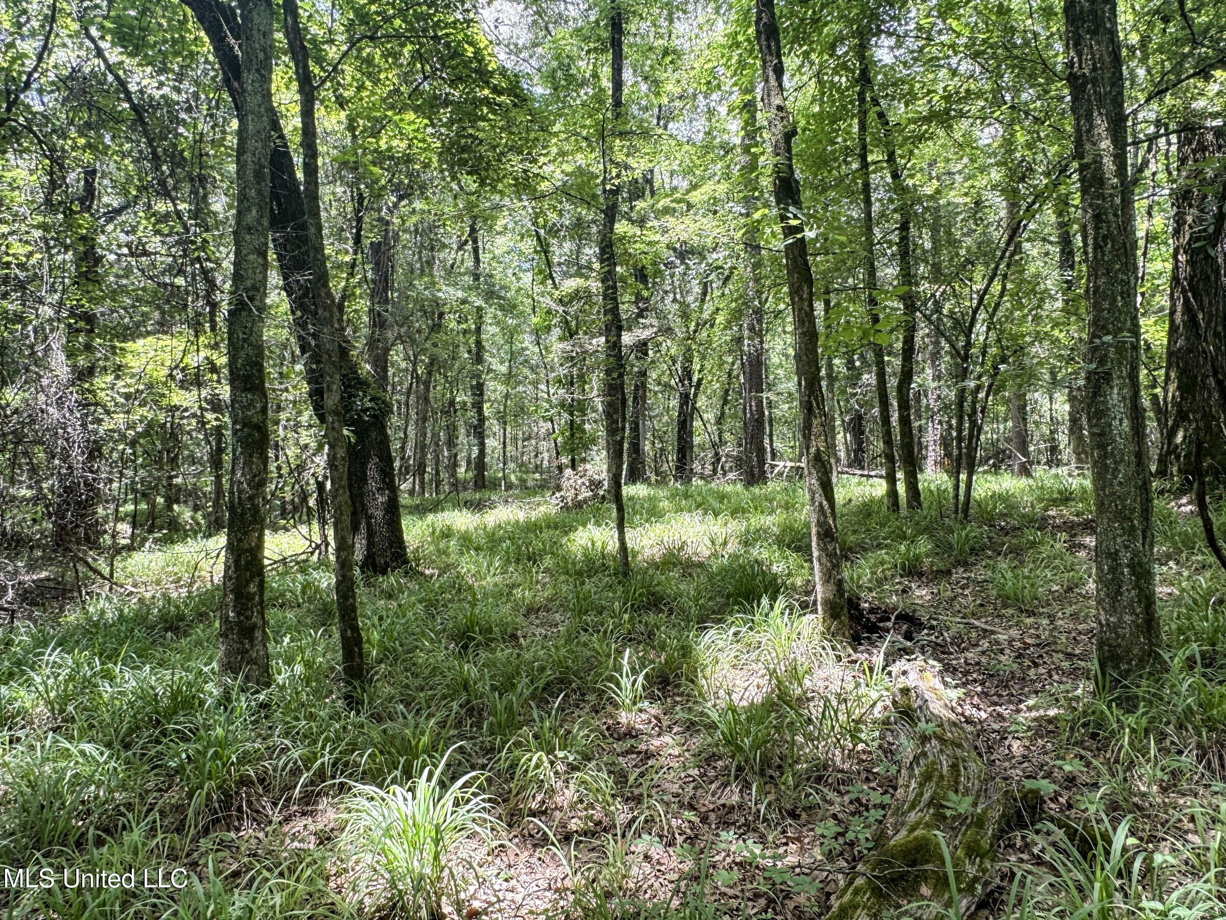 Pine Lodge Road Road Batesville, MS 38606 - Photo 78 of 99 4pleur28