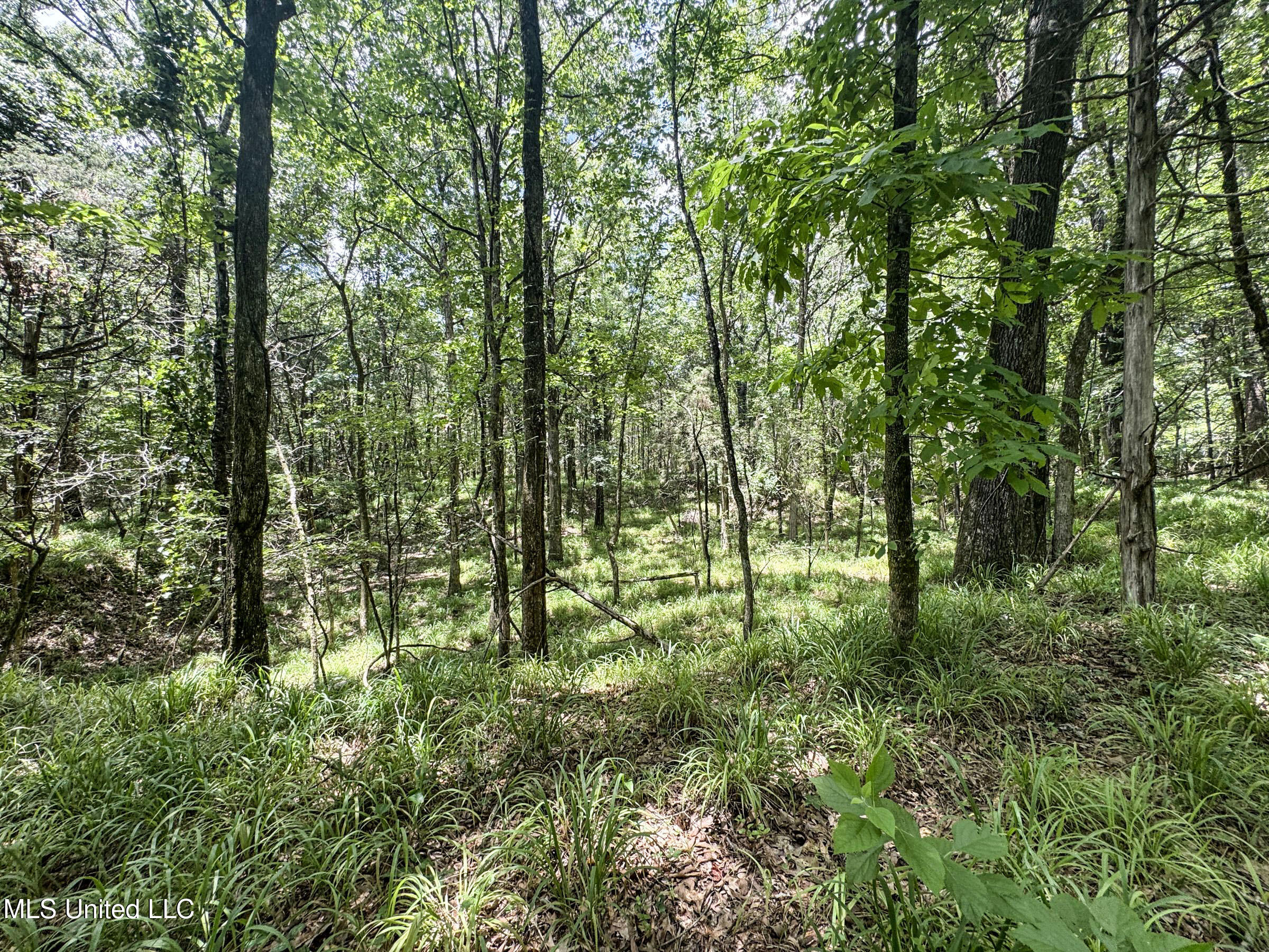 Pine Lodge Road Road Batesville, MS 38606 - Photo 79 of 99 4pleur29