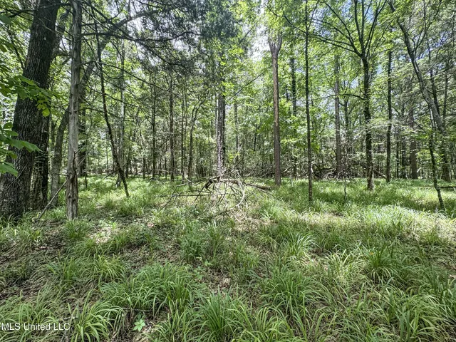 $688,880 | Pine Lodge Road Road, Batesville, MS 38606