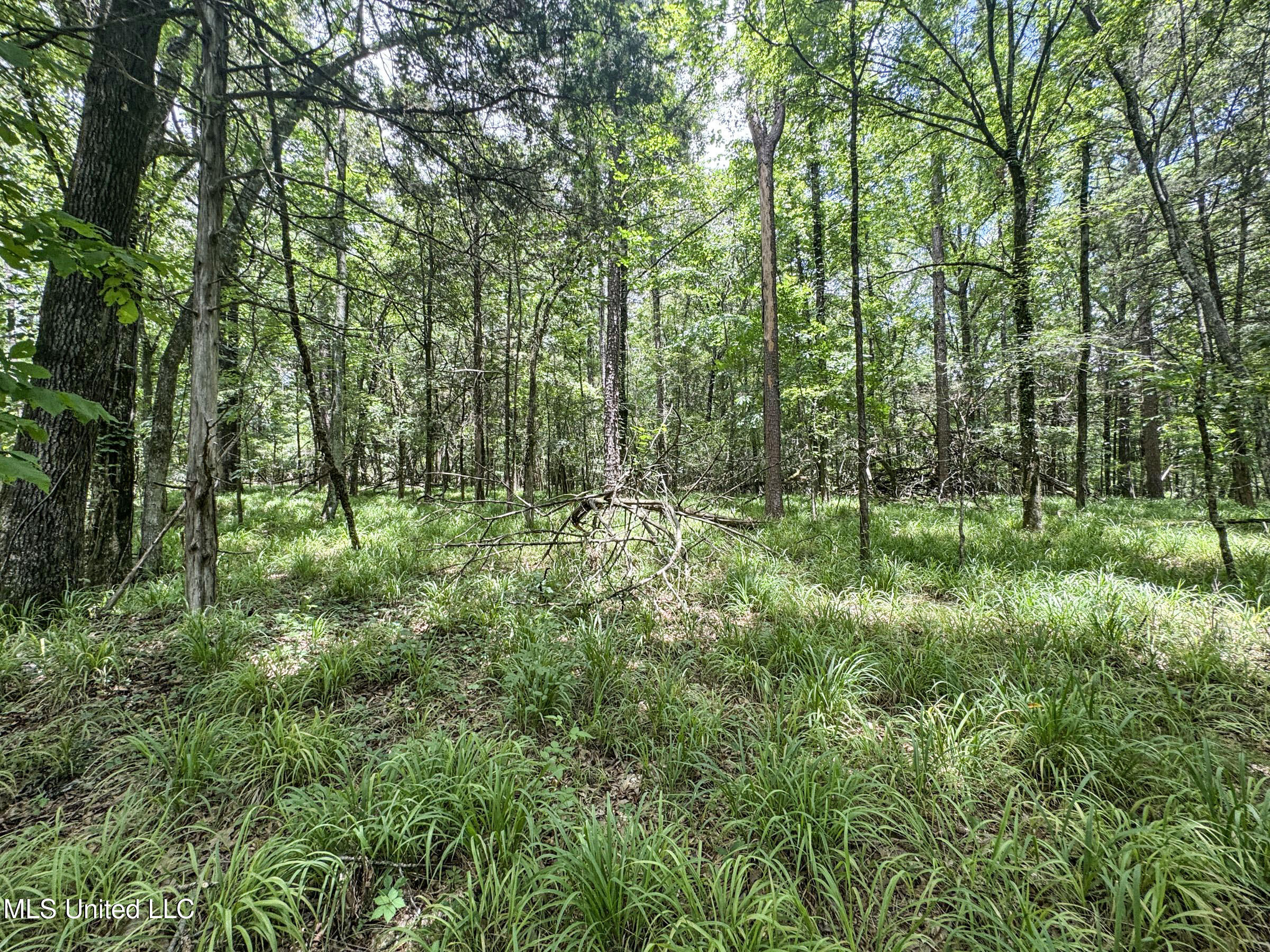 Pine Lodge Road Road Batesville, MS 38606 - Photo 80 of 99 4pleur30