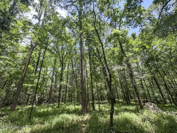 $688,880 | Pine Lodge Road Road, Batesville, MS 38606