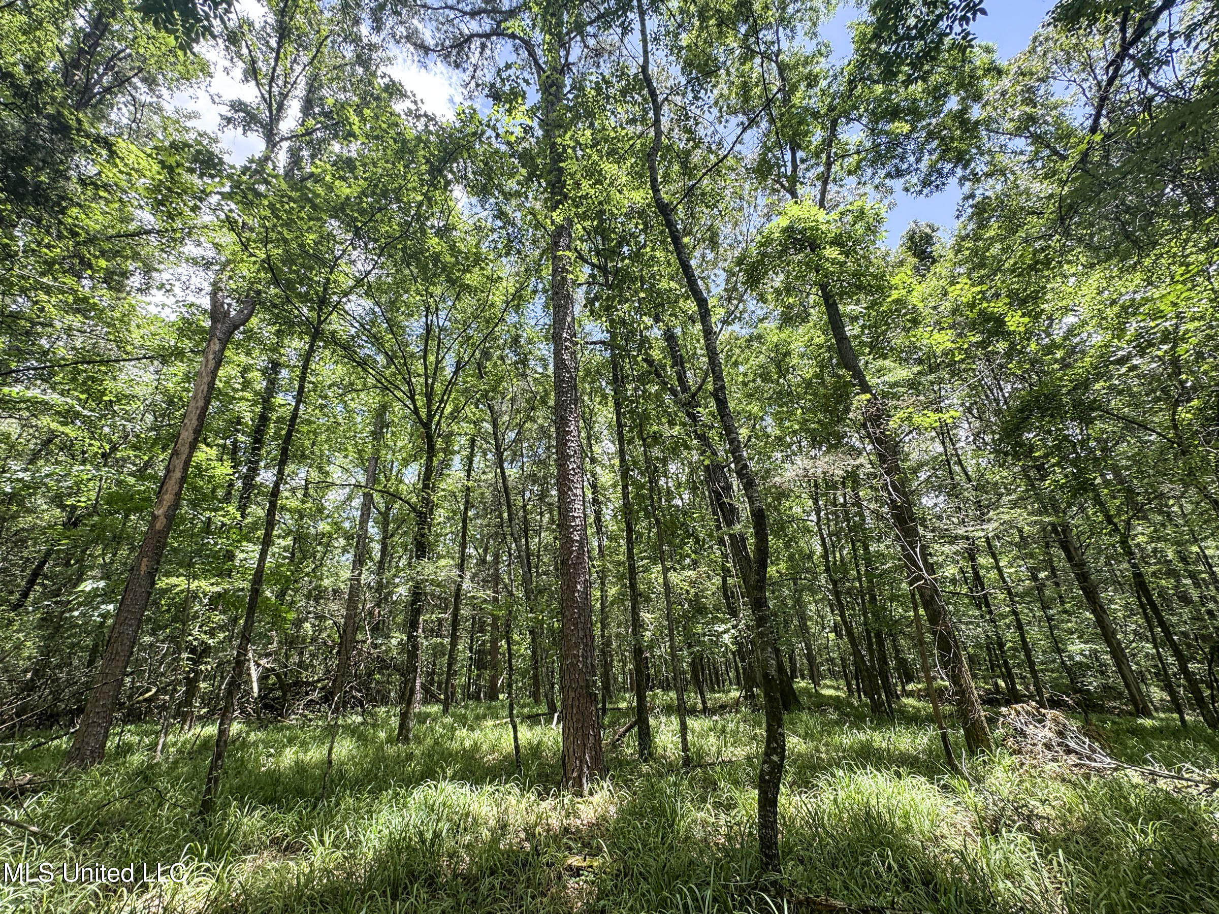 Pine Lodge Road Road Batesville, MS 38606 - Photo 81 of 99 4pleur31