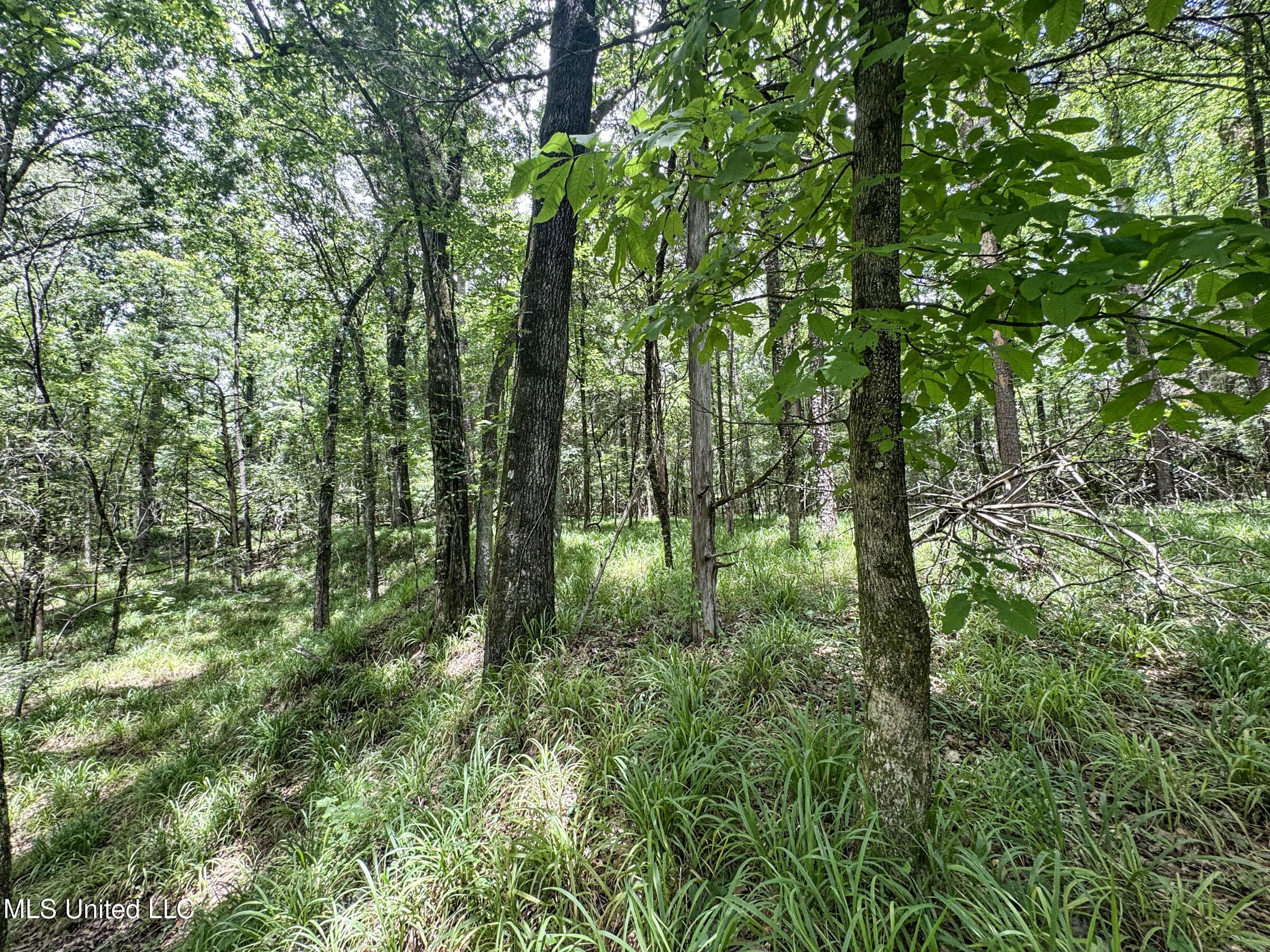 Pine Lodge Road Road Batesville, MS 38606 - Photo 82 of 99 4pleur32