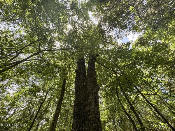 $688,880 | Pine Lodge Road Road, Batesville, MS 38606